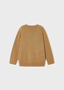 NEW AW23 Mayoral Boys Cotton Jumper 311 Chestnut/70